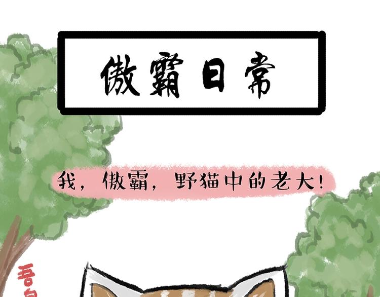 吾皇巴扎黑漫画,第158话 傲霸日常1图