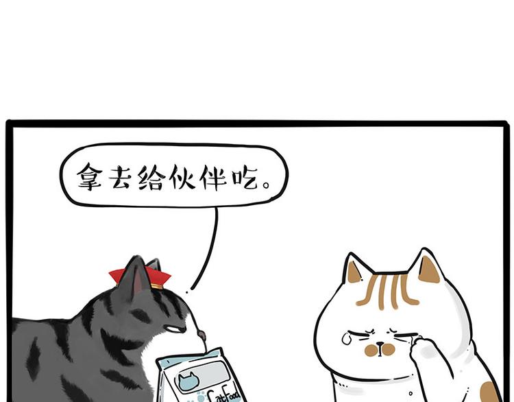 吾皇巴扎黑漫画,第249话 黑黑快跑！2图