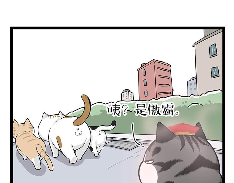 吾皇巴扎黑漫画,第284话 美喵竟是我自己1图