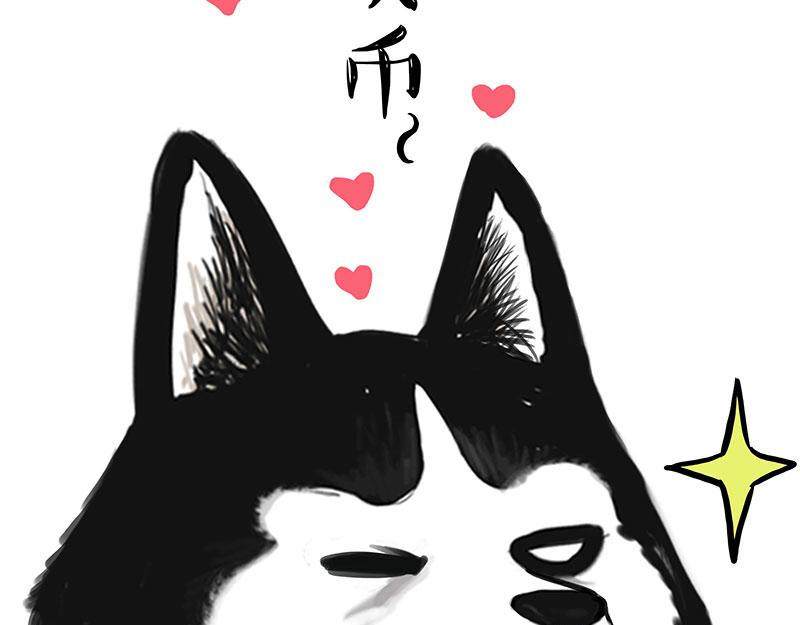 吾皇巴扎黑漫画,第349话 养只猫吧1图