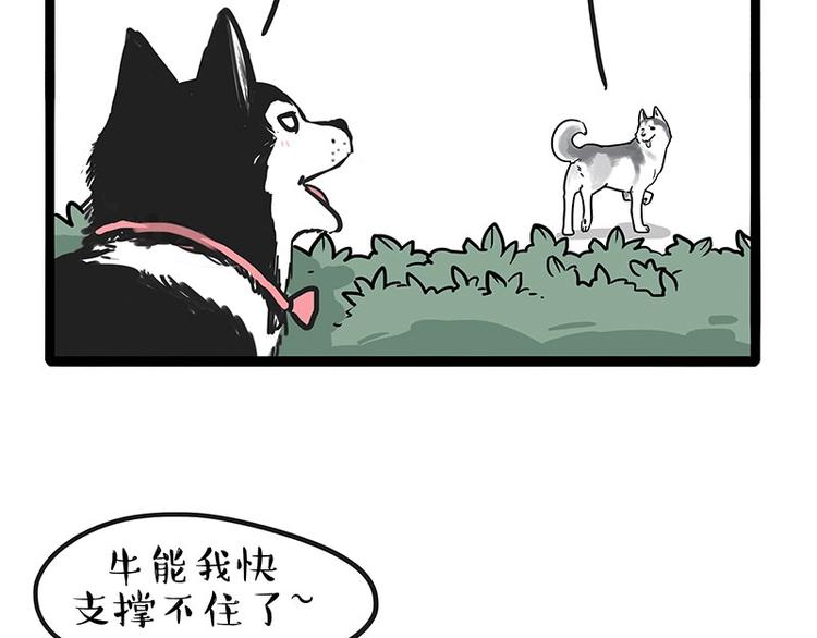 吾皇巴扎黑漫画,第192话 大型爱情翻车现场2图