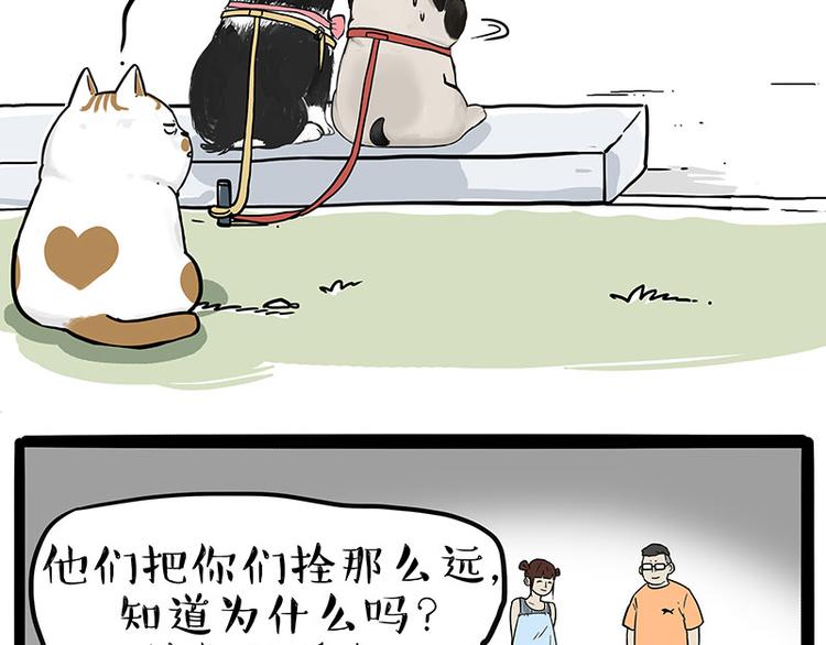 吾皇巴扎黑漫画,第223话 狗知识增加了1图