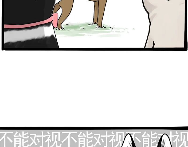 吾皇巴扎黑漫画,第375话 偶遇恶犬1图
