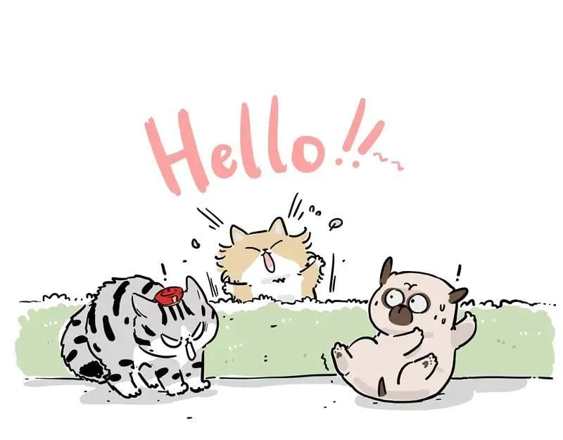 吾皇巴扎黑漫画,第424话 话痨小猫1图