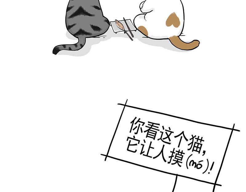吾皇巴扎黑漫画,第322话 吾皇的孙子2图