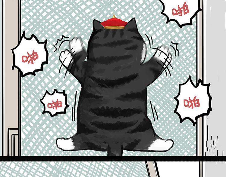 吾皇巴扎黑漫画,第136话 不一样又如何2图
