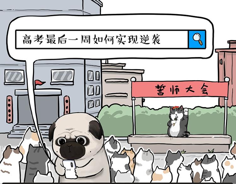 吾皇巴扎黑漫画,第276话 高考逆袭1图