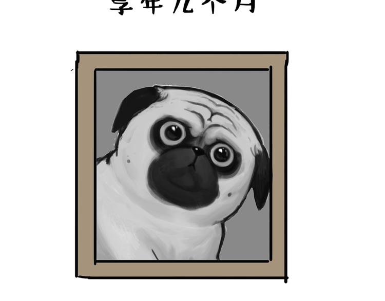 吾皇巴扎黑漫画,第43话 让父母别看奇怪文章1图