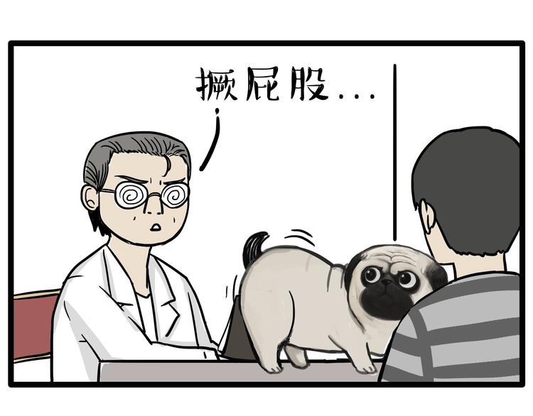 吾皇巴扎黑漫画,第78话 带宠物看病（上）2图