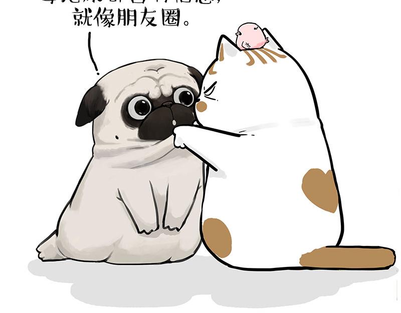 吾皇巴扎黑漫画,第317话 社交密码2图