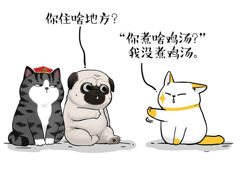 吾皇巴扎黑漫画,第353话 逆向思维2图