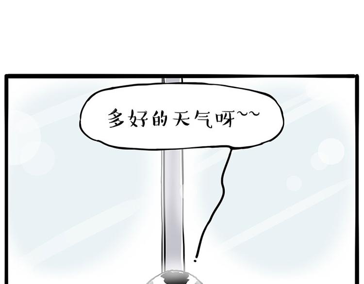 吾皇巴扎黑漫画,第270话 胖老猫你个大骗子！2图
