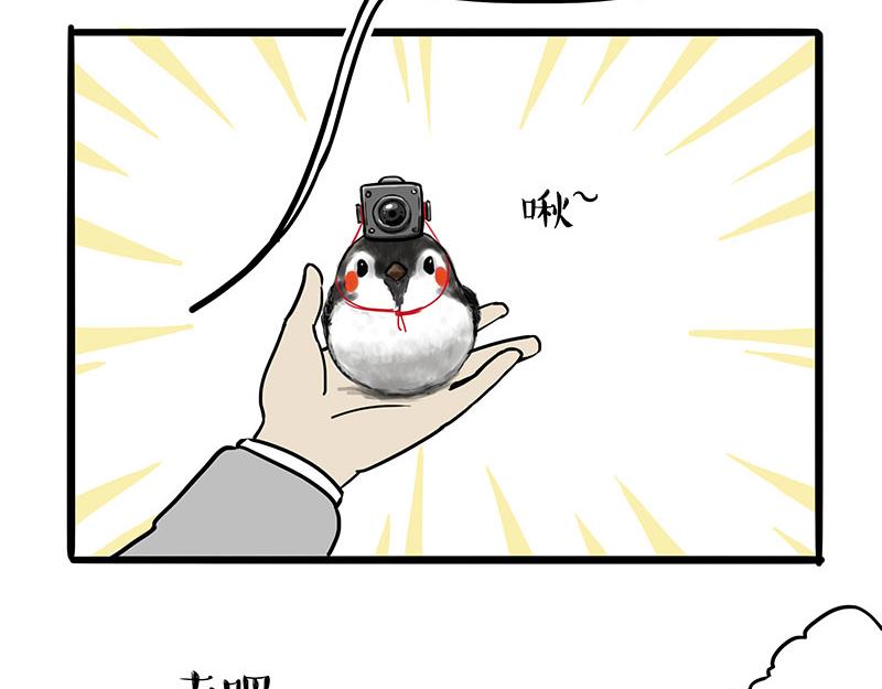 吾皇巴扎黑漫画,第309话 不妙小喵招2图