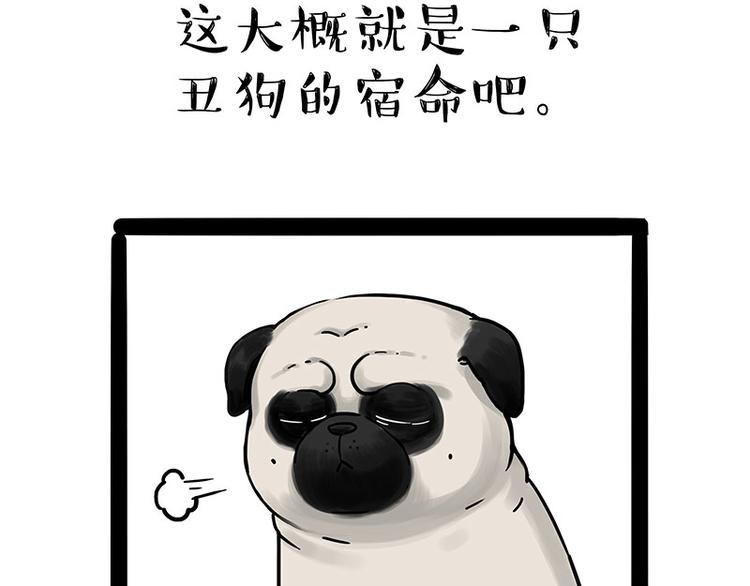 吾皇巴扎黑漫画全集漫画,第210话 巴扎黑是最委屈的狗1图