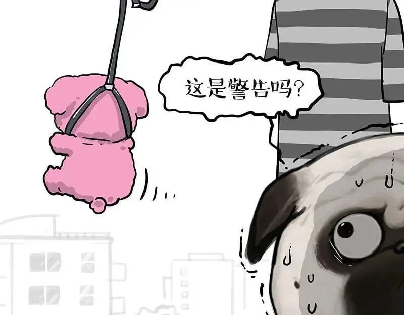 吾皇巴扎黑漫画,第405话 猫好狗好，人坏2图