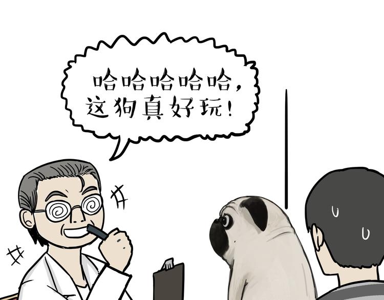 吾皇巴扎黑漫画,第78话 带宠物看病（上）2图