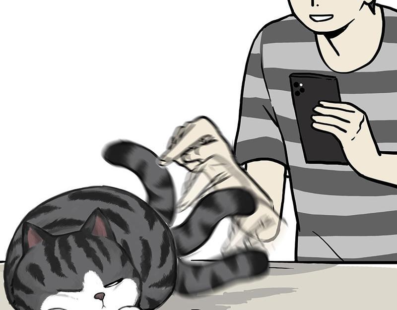 吾皇巴扎黑漫画,第369话 老天爷的答案2图