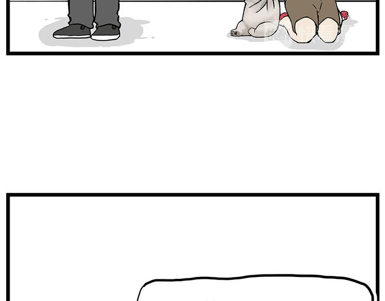 吾皇巴扎黑漫画,第235话 是亲生的没错吧？1图