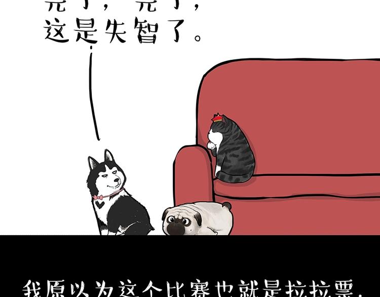 吾皇巴扎黑漫画全集漫画,第162话 喵星人选美大赛2图