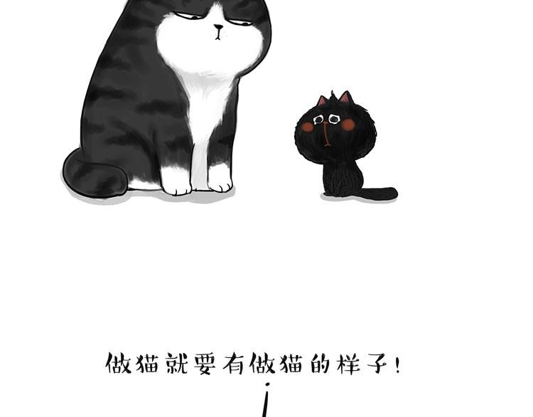 吾皇巴扎黑漫画,第49话 只见新人笑未闻旧人哭1图