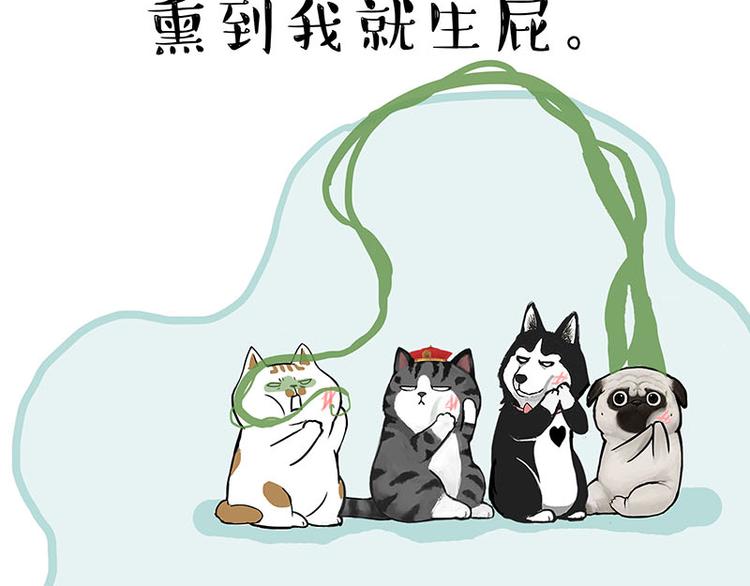 吾皇巴扎黑漫画,第239话 “屁”的战争2图