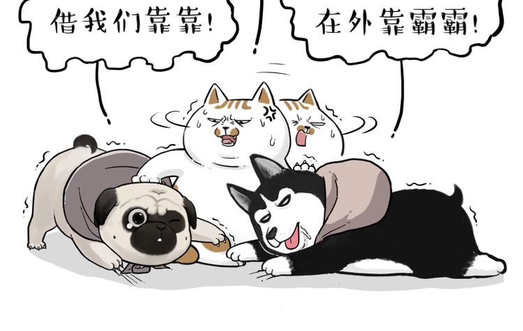 吾皇巴扎黑漫画,第264话 父愁者联盟！2图