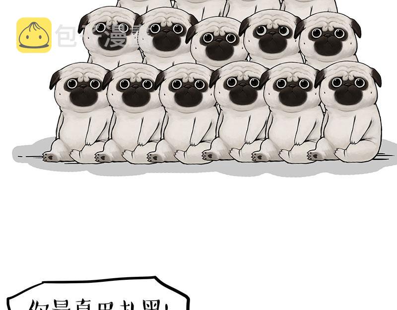 吾皇巴扎黑漫画,第310话 黑里寻黑1图