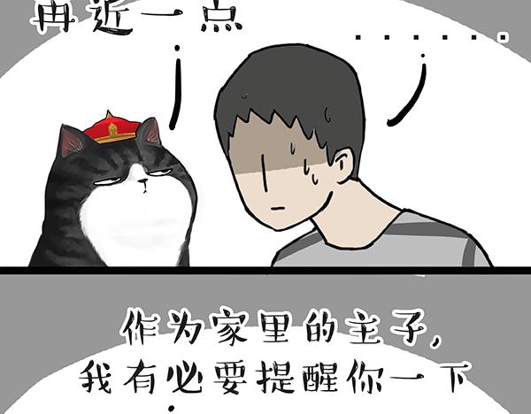 吾皇巴扎黑漫画全集漫画,第60话 瞎操什么心1图