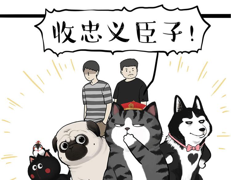 吾皇巴扎黑漫画,第263话 没心没肺的快乐1图