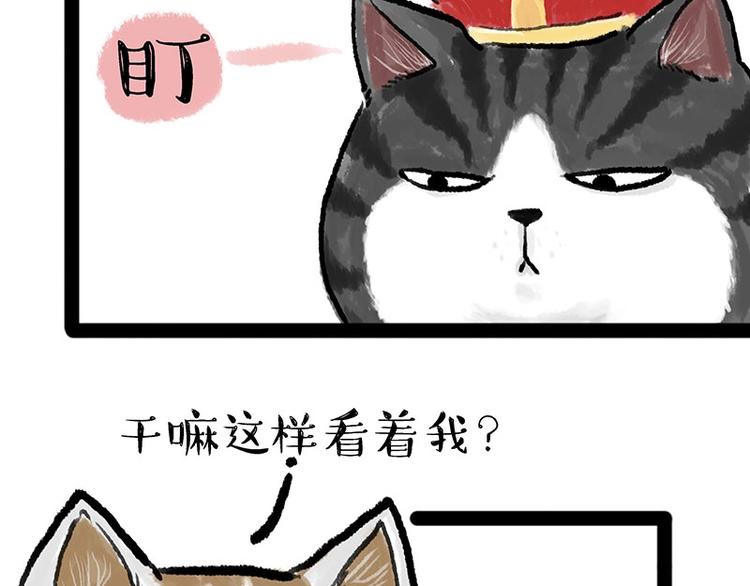吾皇巴扎黑漫画,第158话 傲霸日常1图