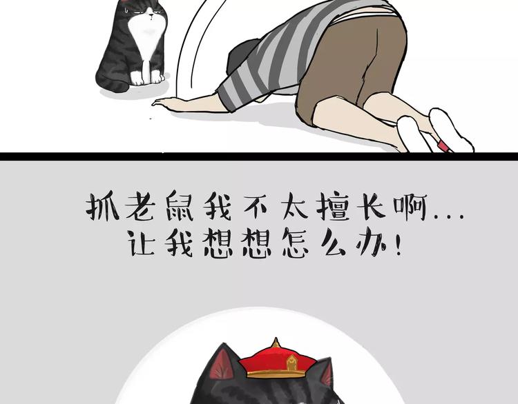 吾皇巴扎黑漫画,第83话 抓老鼠1图