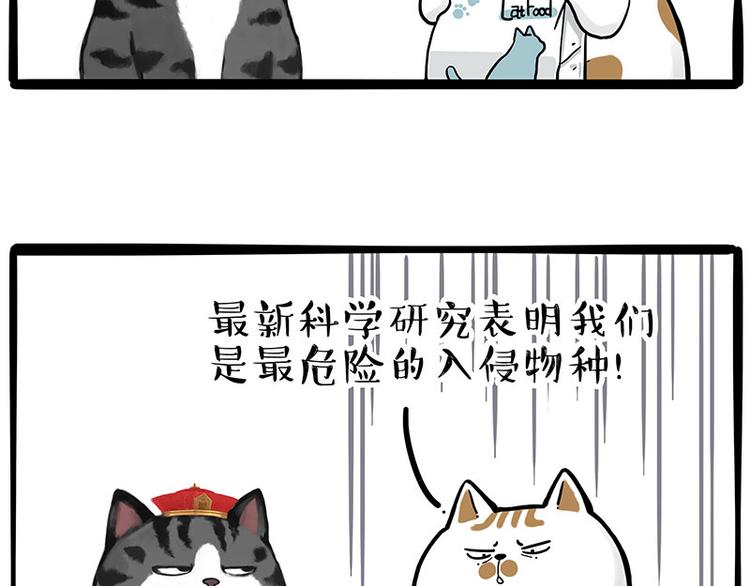 吾皇巴扎黑漫画,第249话 黑黑快跑！2图