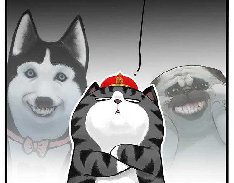 吾皇巴扎黑漫画,第277话 猫斗猫2图