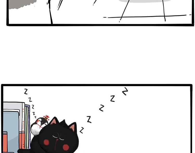 吾皇巴扎黑漫画,第270话 胖老猫你个大骗子！1图