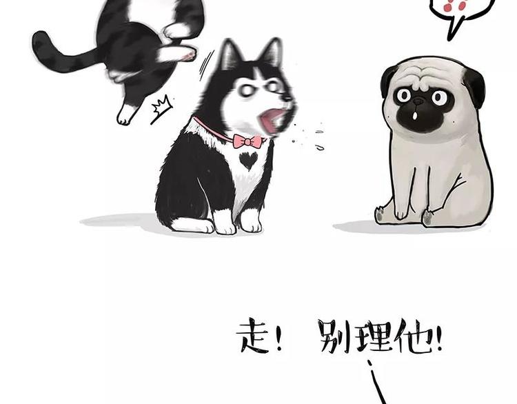 吾皇巴扎黑漫画,第227话 丑狗宿命1图