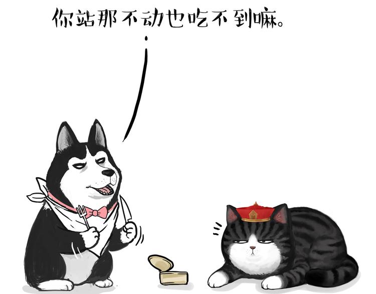 吾皇巴扎黑漫画,第124话 一只尊贵的喵1图