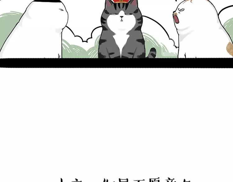 吾皇巴扎黑漫画,第167话 猫王争霸赛2图