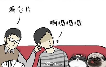 吾皇巴扎黑漫画,第22话 全民CP时代！2图