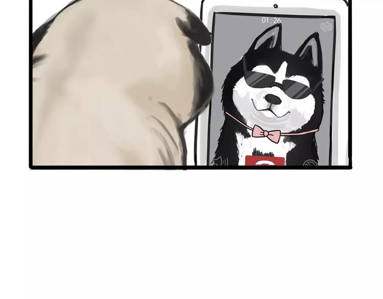 吾皇巴扎黑漫画,第83话 抓老鼠1图