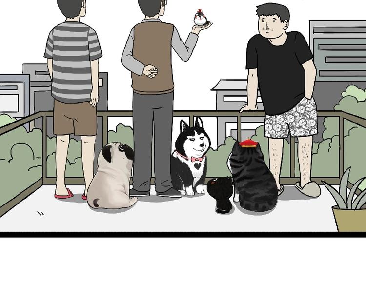 吾皇巴扎黑漫画,第163话 记得回家看看1图