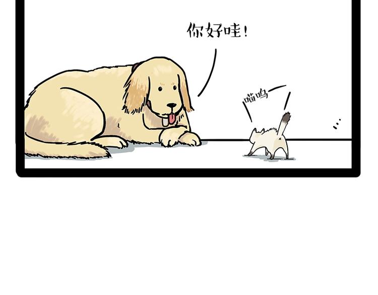 吾皇巴扎黑漫画,第171话 不许你走！1图