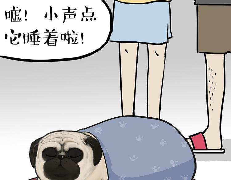 吾皇巴扎黑漫画,第50话 你的身边有我在1图