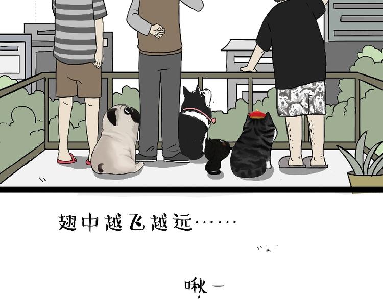吾皇巴扎黑漫画,第163话 记得回家看看2图