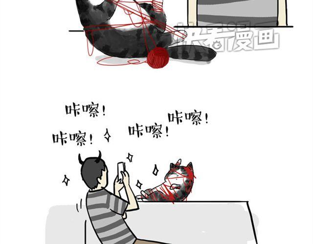 吾皇巴扎黑漫画,第15话 猫引发的朋友圈惨案2图