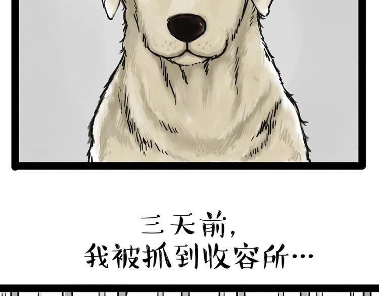 吾皇巴扎黑超话漫画,第198话 你爱世界，但我爱你2图