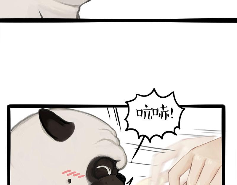 吾皇巴扎黑漫画,第372话 莫与狗比狗1图