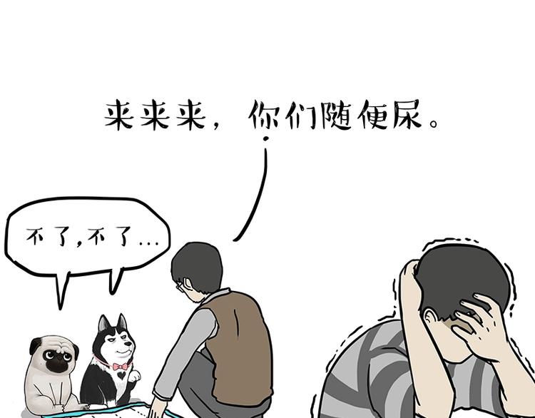 吾皇巴扎黑漫画全集漫画,第162话 喵星人选美大赛2图