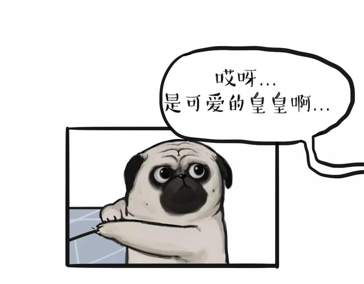 吾皇巴扎黑漫画,第97话 功夫1图