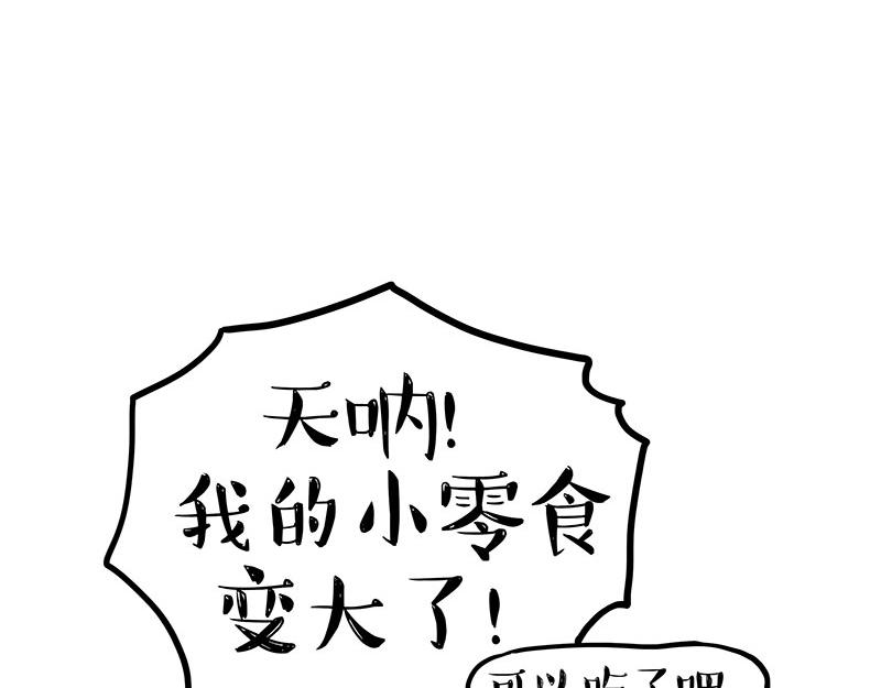 吾皇巴扎黑漫画,第344话 人生止痛剂1图