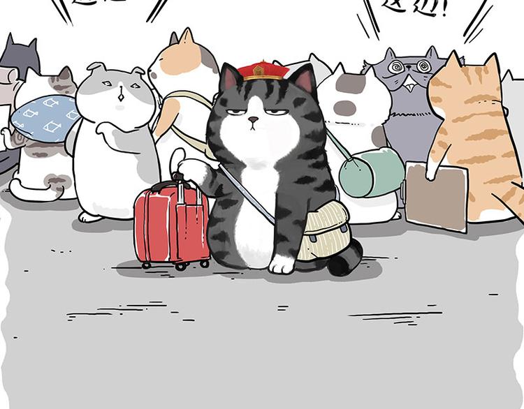 吾皇巴扎黑漫画,第231话 防骗指南2图